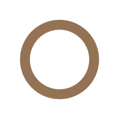 Circle icon representing planet earth